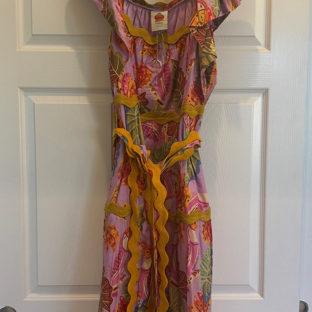 FARM Rio Multicolor Maxi Dress